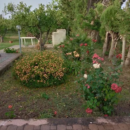 In In Delle Arance 300mt Dalla Spiaggia Appartamento *