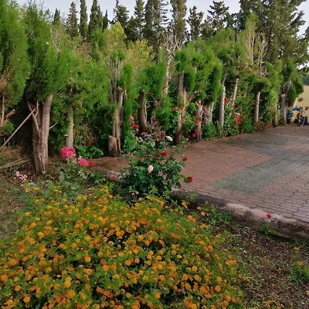 In In Delle Arance 300mt Dalla Spiaggia Orosei