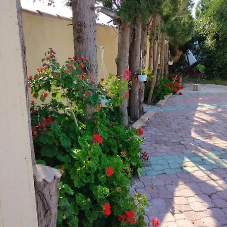 In In Delle Arance 300mt Dalla Spiaggia Apartamento